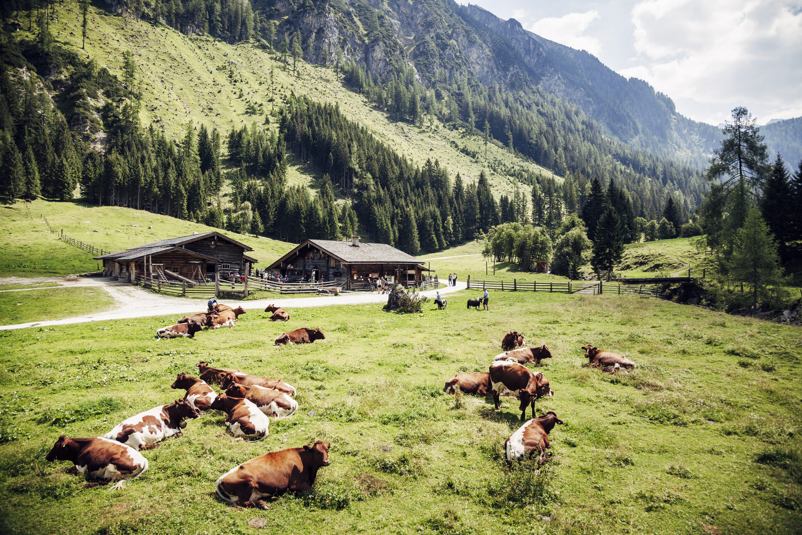 Umgebung von Alpenglut Bild 12