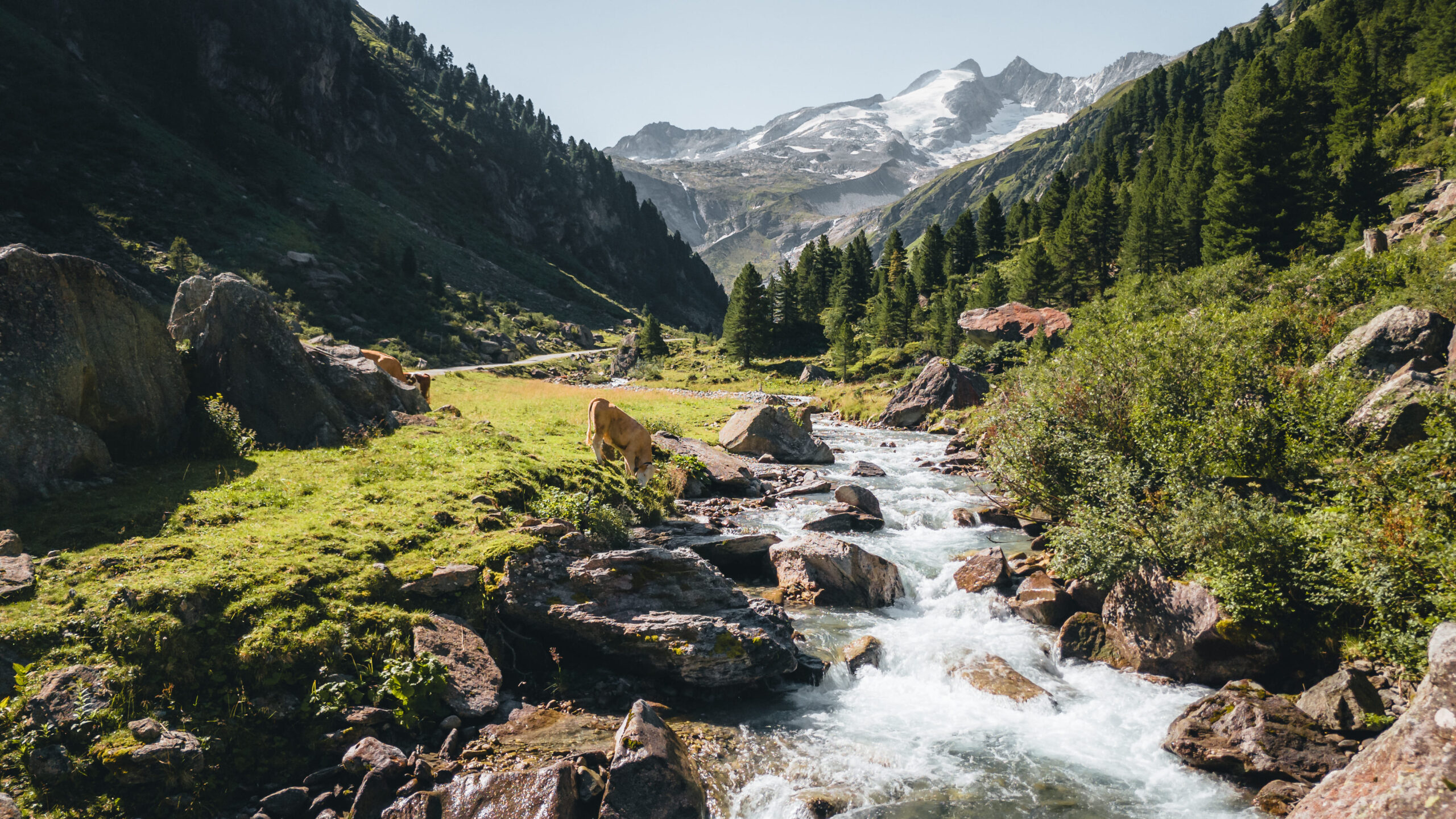 Umgebung von Alpenglut Bild 30