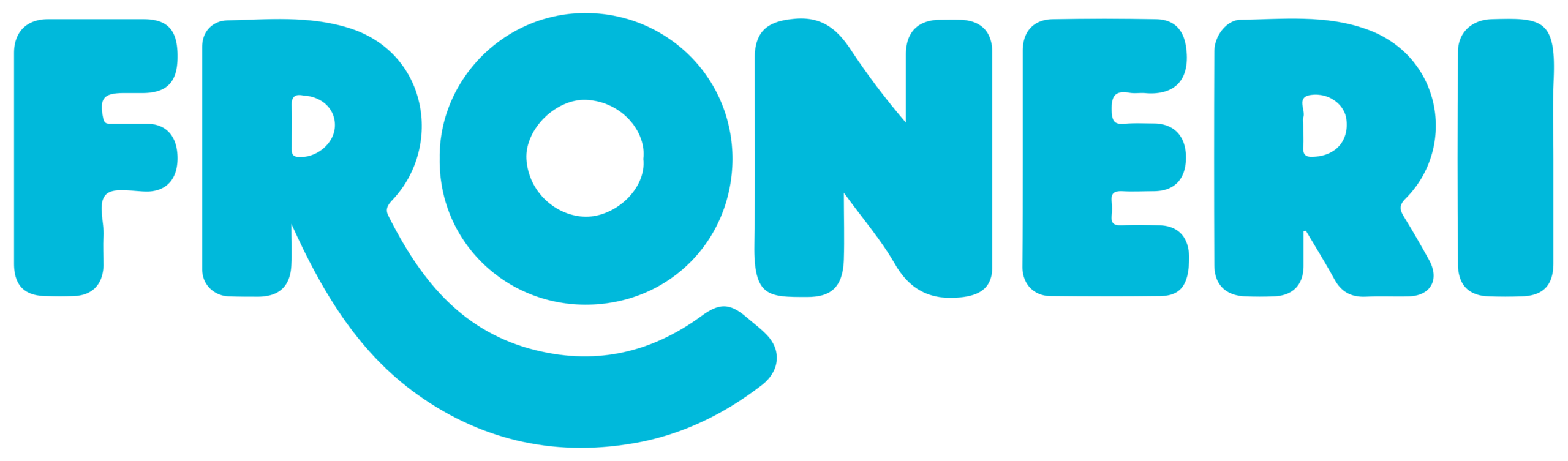 Bruck Fusch Logo
